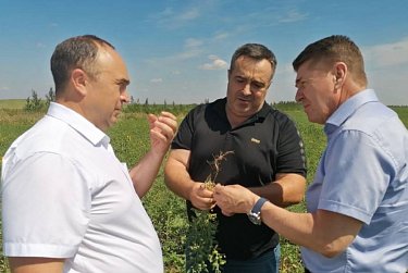 Решаются проблемы сельских территорий
